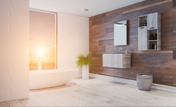 Walkin Bathtub Installation